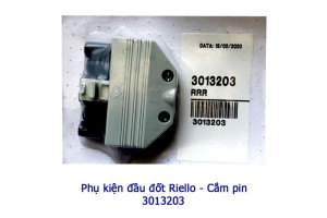 phu-kien-dau-dot-riello-cam-pin-3013203