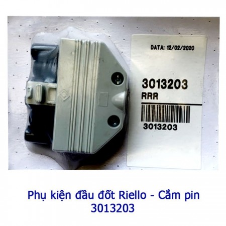 phu-kien-dau-dot-riello-cam-pin-3013203