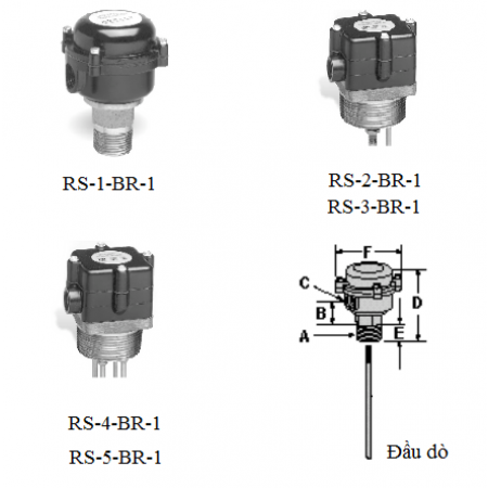 Cảm biến áp suất và đầu dò Mc Donnell RS BR-1